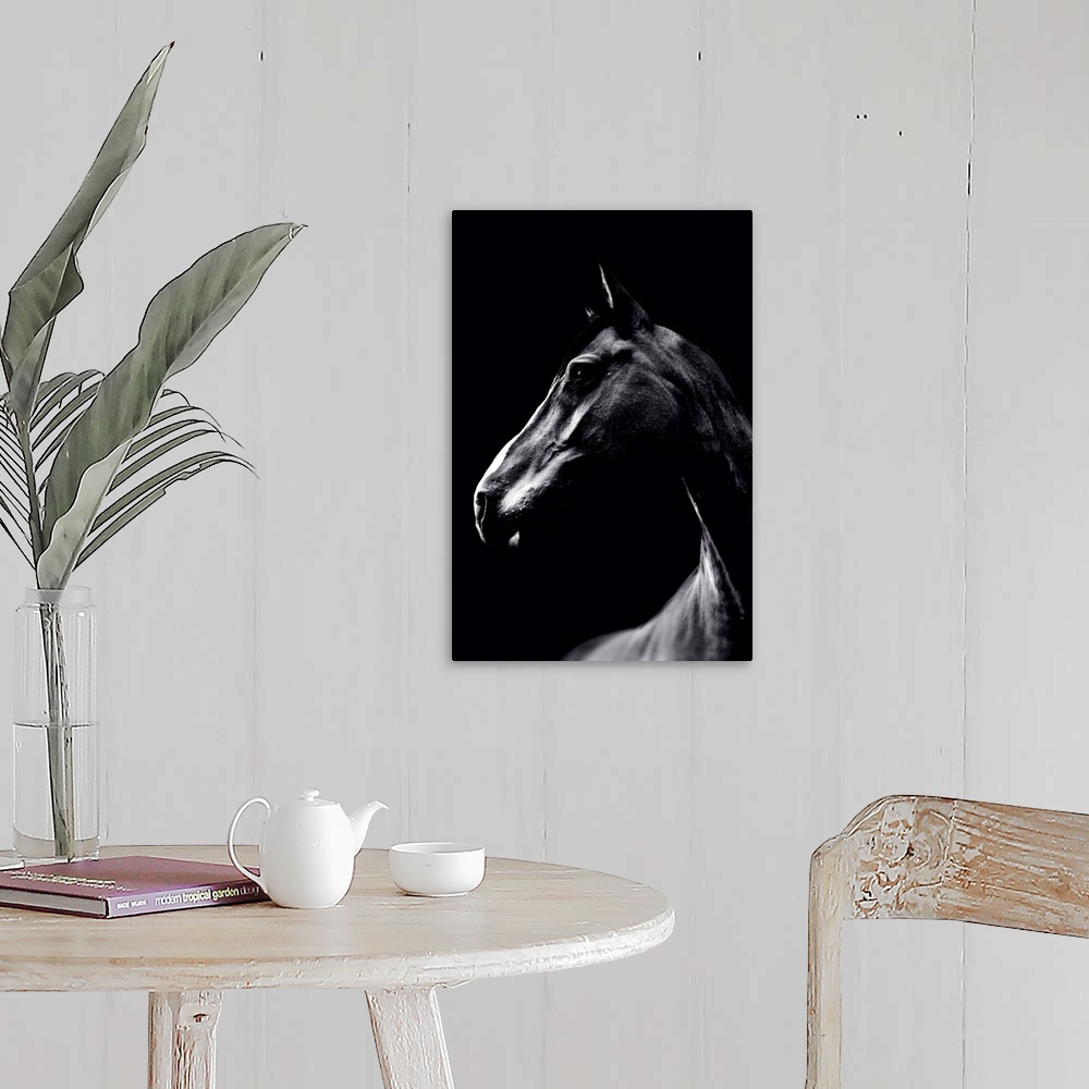 A farmhouse room featuring Dark Horse