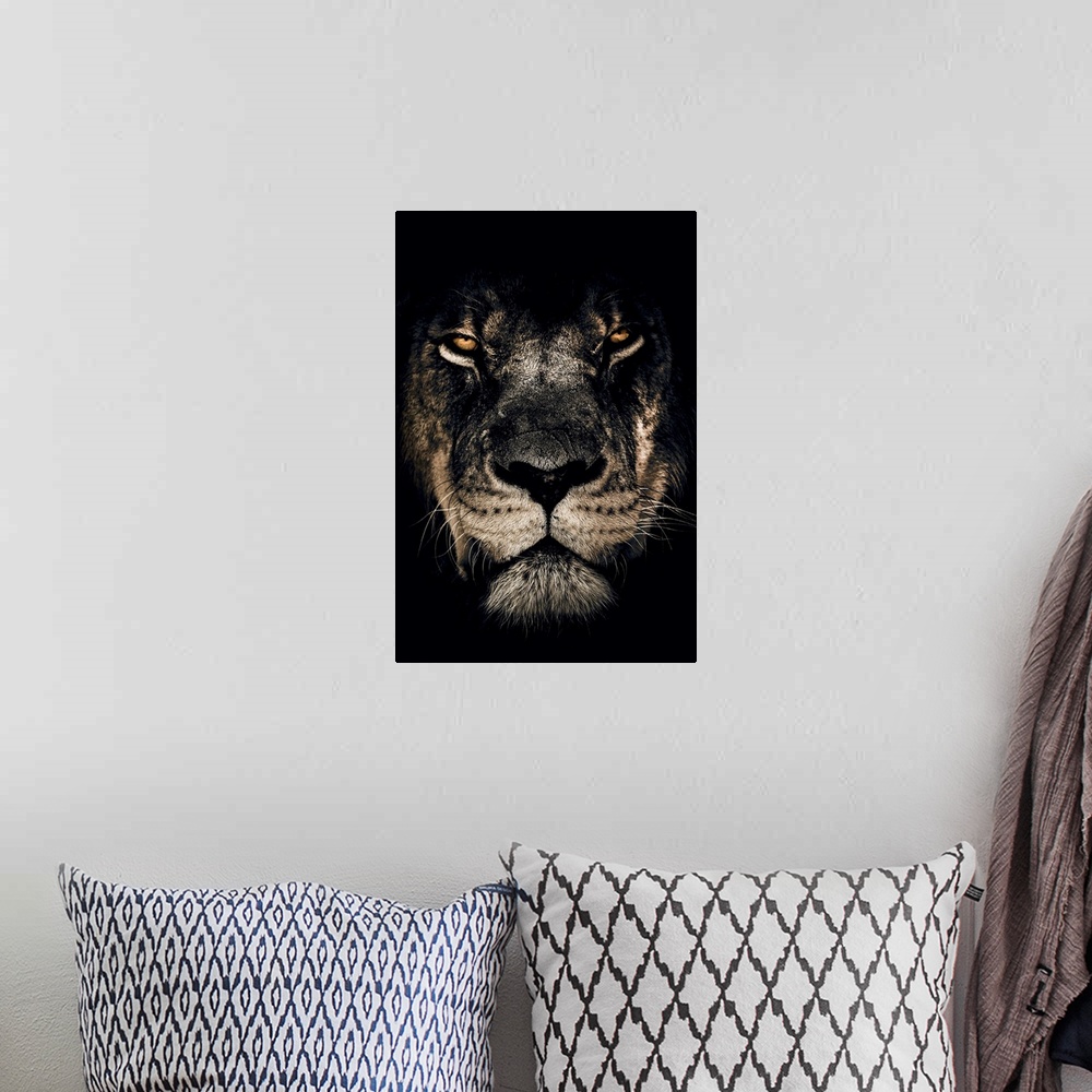A bohemian room featuring Dark Lion Closeup