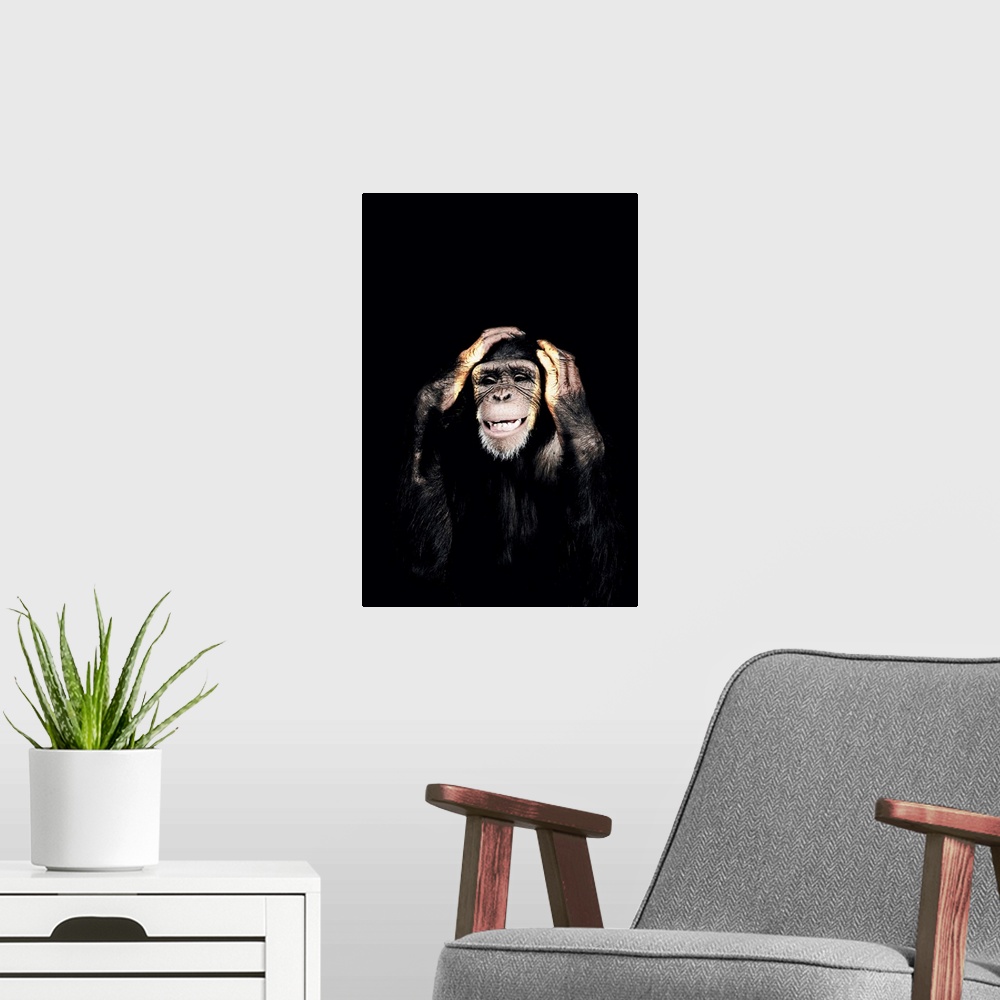 A modern room featuring Dark Monkey Hear No Evil