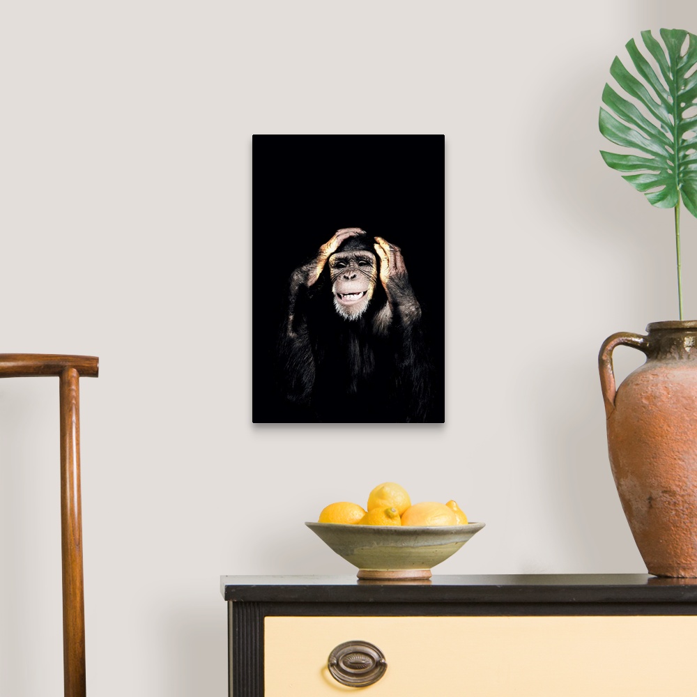 A traditional room featuring Dark Monkey Hear No Evil