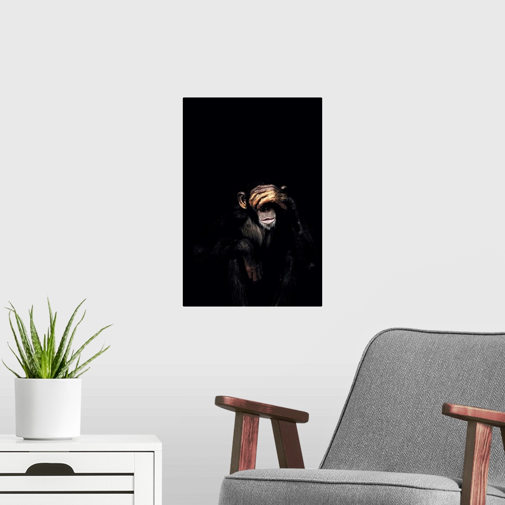 A modern room featuring Dark Monkey See No Evil