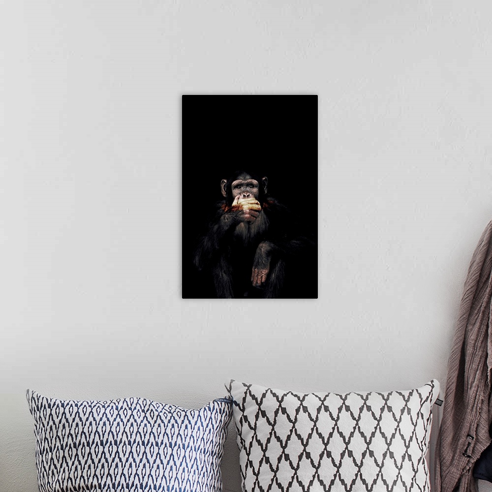 A bohemian room featuring Dark Monkey Speak No Evil