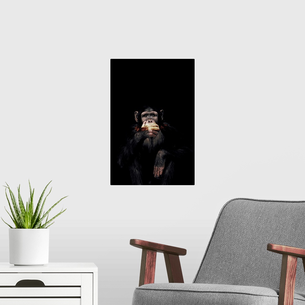 A modern room featuring Dark Monkey Speak No Evil