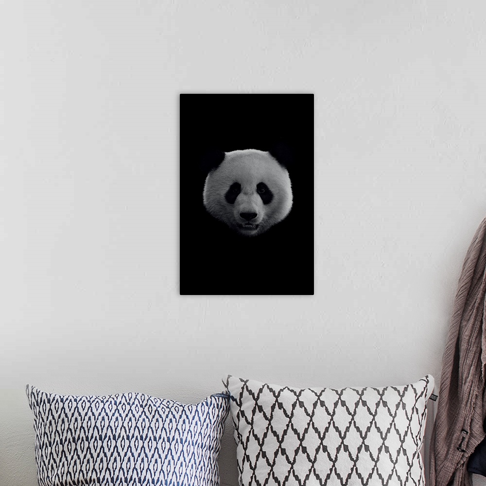 A bohemian room featuring Dark Panda