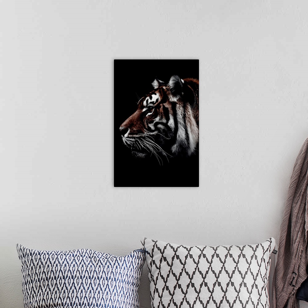A bohemian room featuring Dark Tiger 3