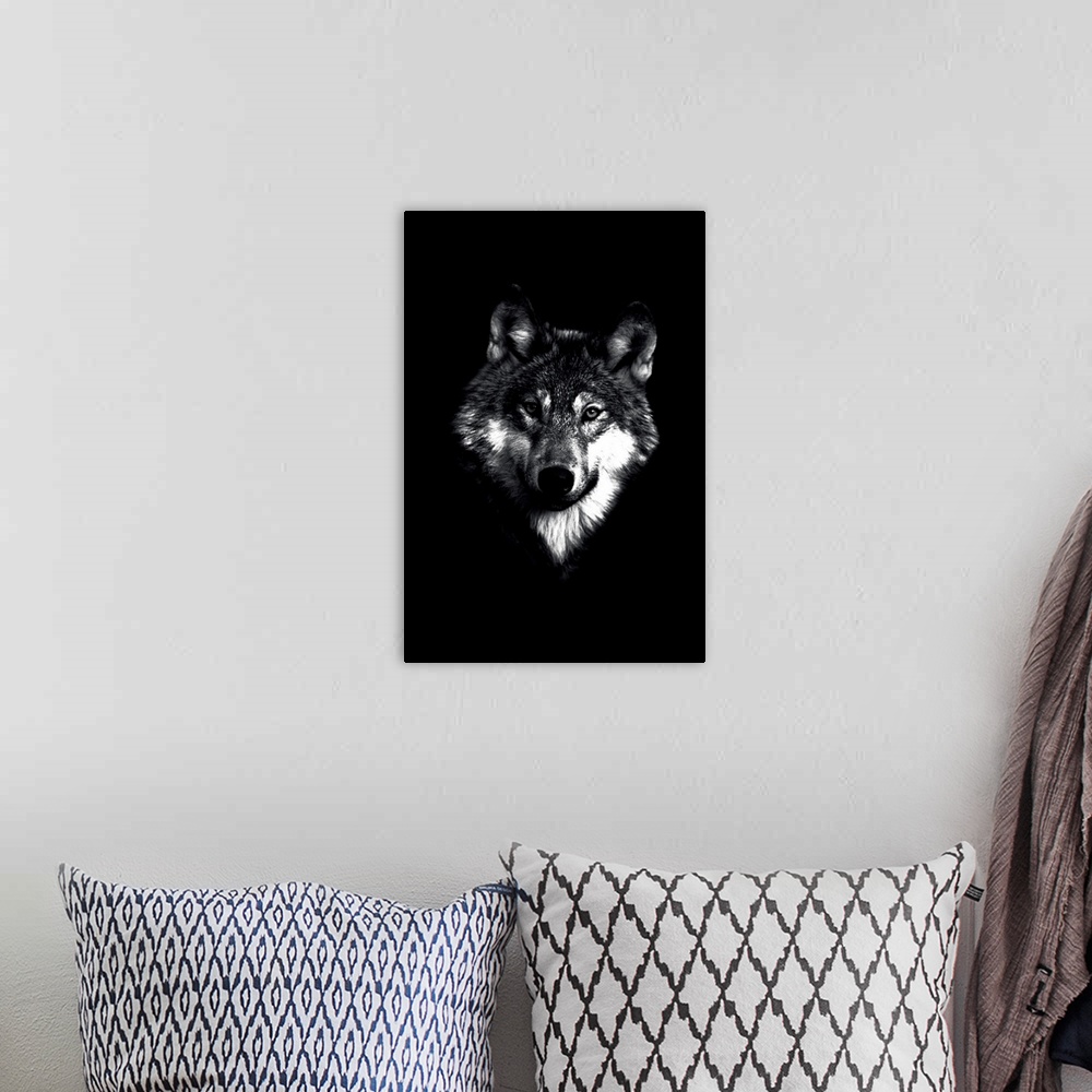 A bohemian room featuring Dark Wolf