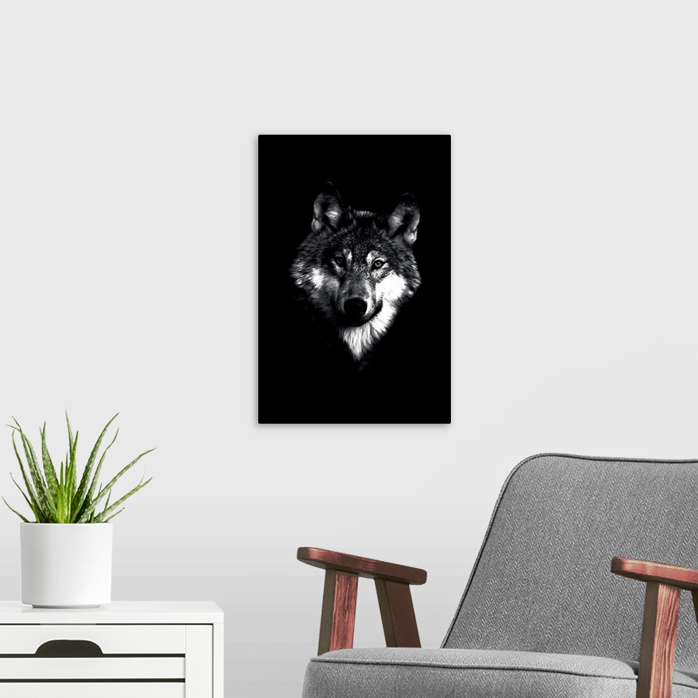 A modern room featuring Dark Wolf