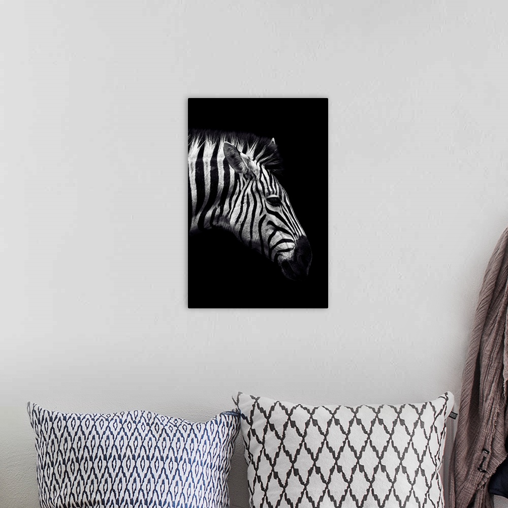 A bohemian room featuring Dark Zebra