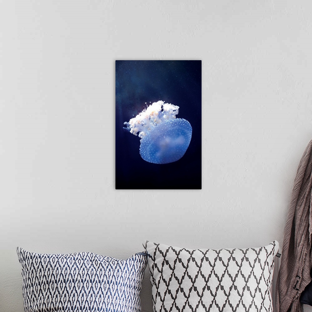 A bohemian room featuring Deepsea Jellyfish