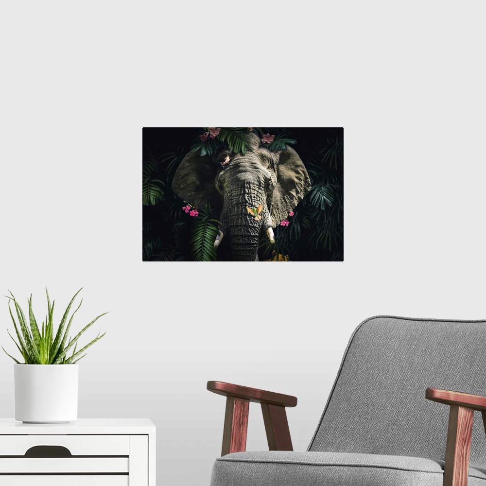 A modern room featuring Elephant 5