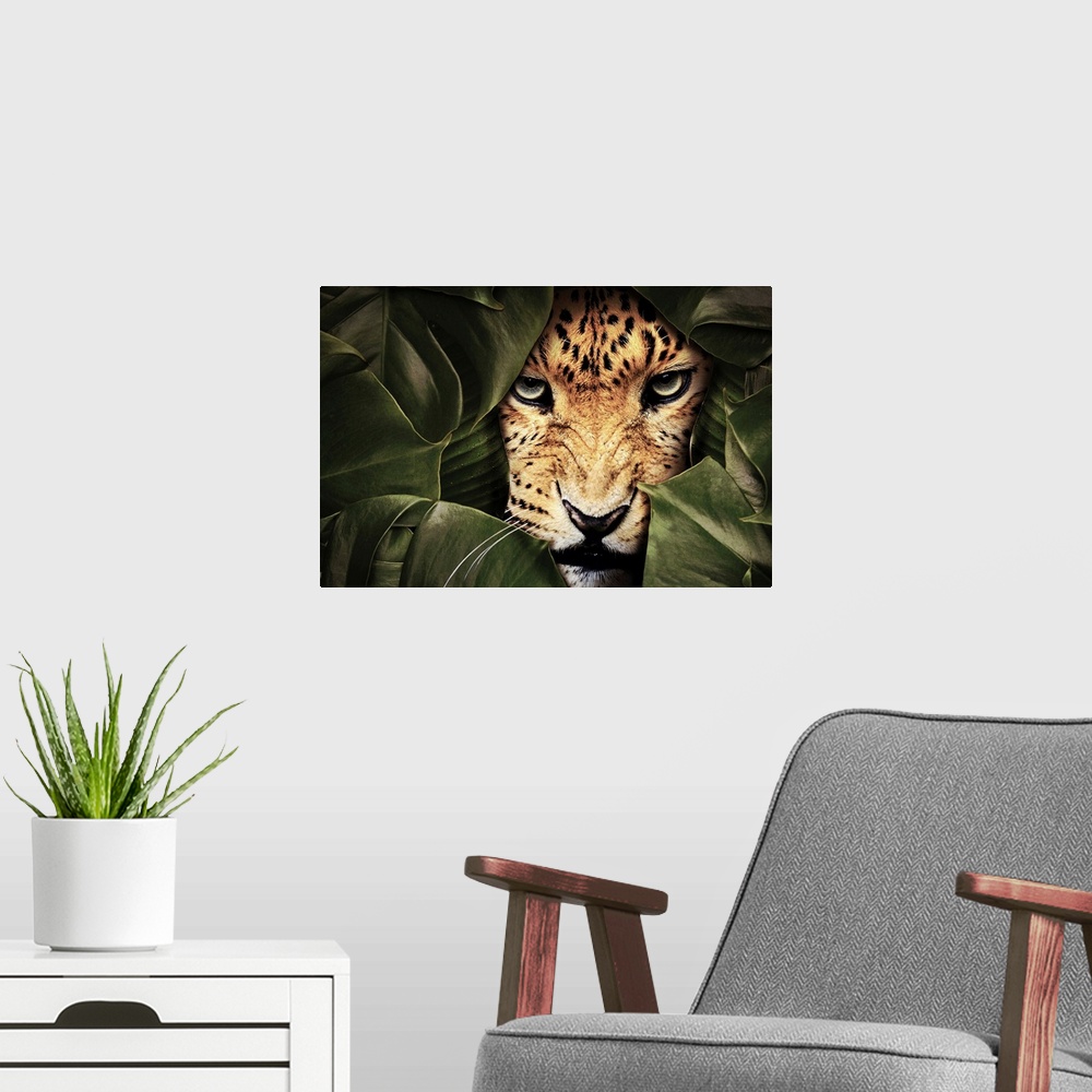 A modern room featuring Jungle Leopard
