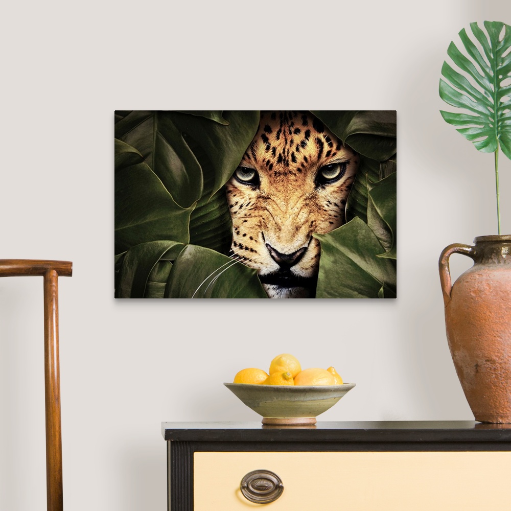 A traditional room featuring Jungle Leopard
