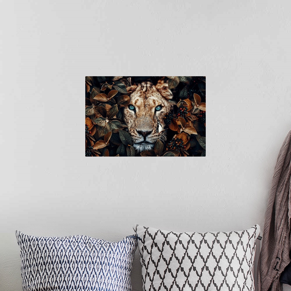 A bohemian room featuring Lioness