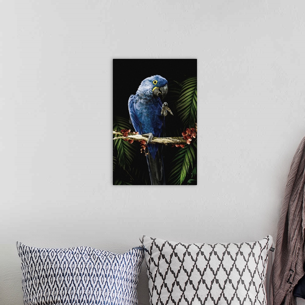 A bohemian room featuring Macaw