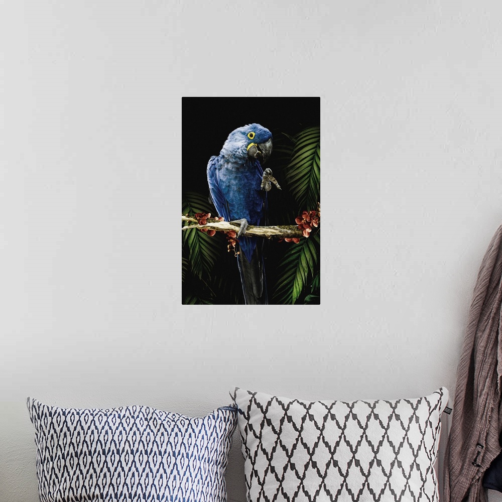 A bohemian room featuring Macaw