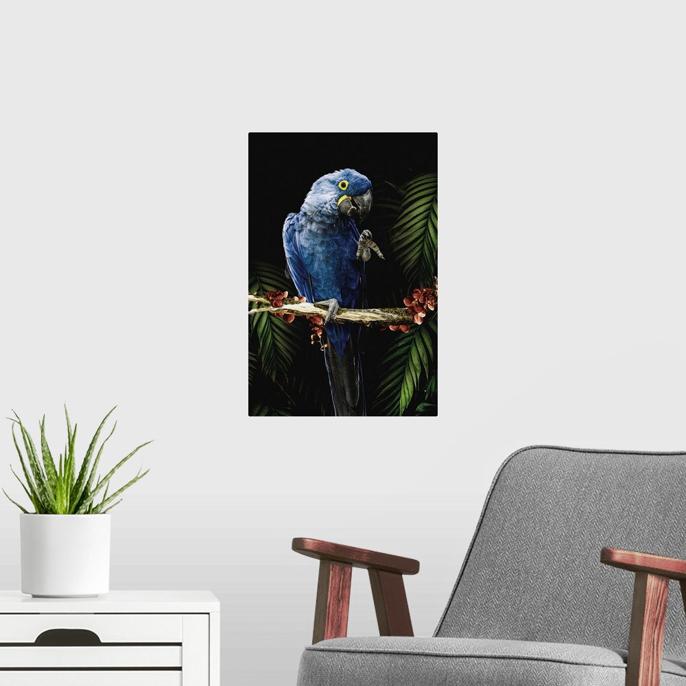 A modern room featuring Macaw