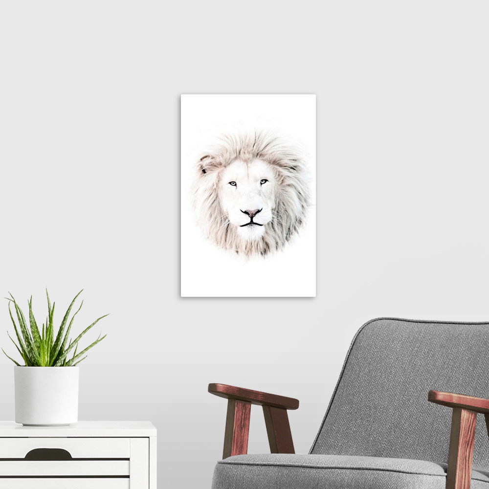 A modern room featuring White Lion