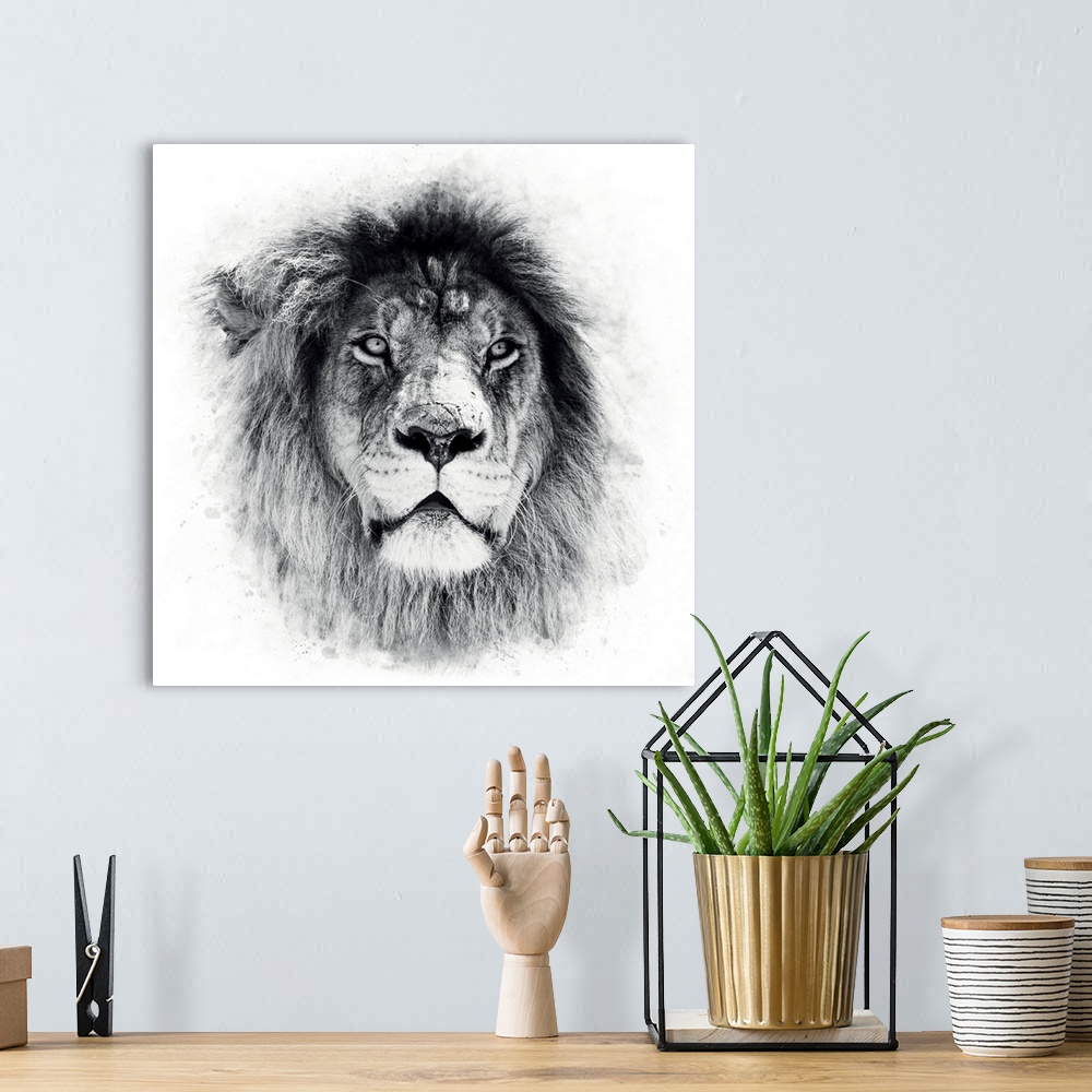 A bohemian room featuring White Lion Special
