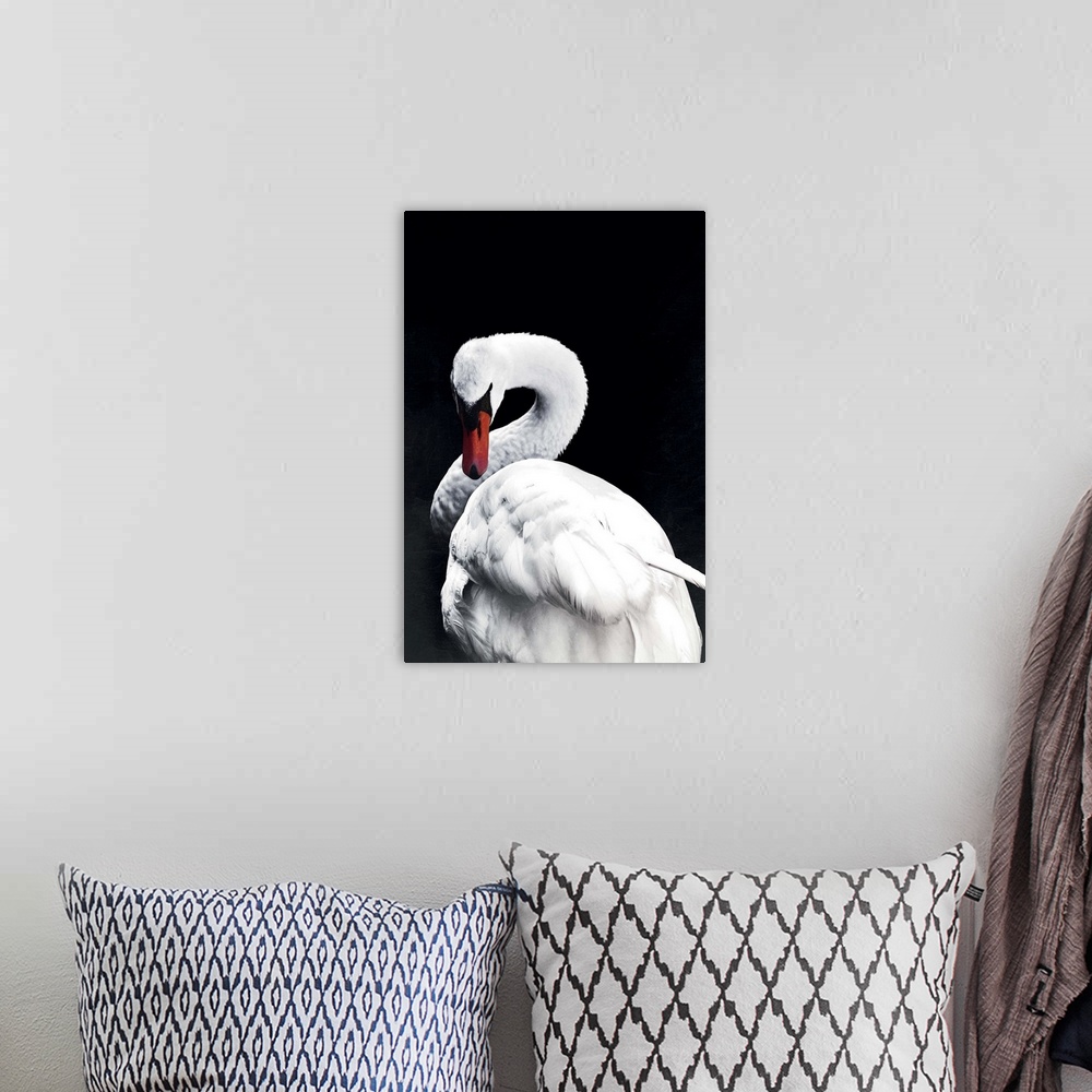 A bohemian room featuring White Swan