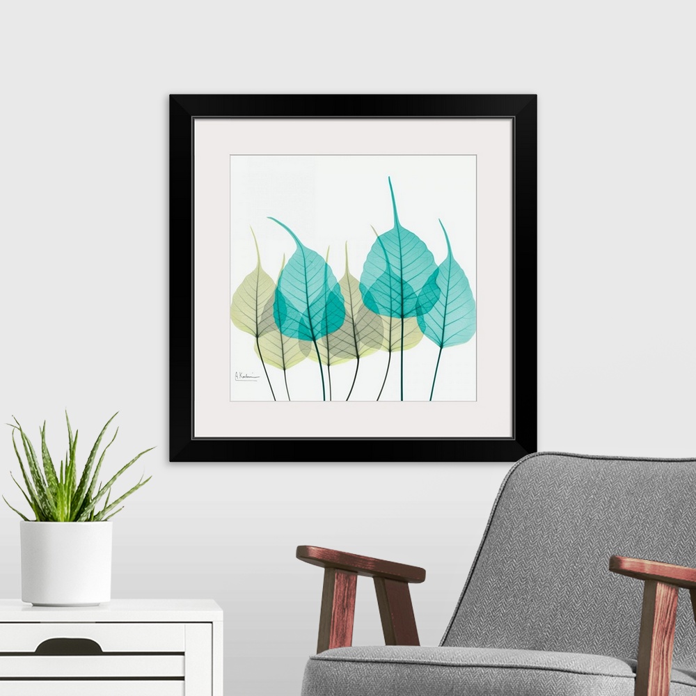 A modern room featuring Giant, square fine art, X-ray photograph of a group of leaves in blues and greens on a solid whit...