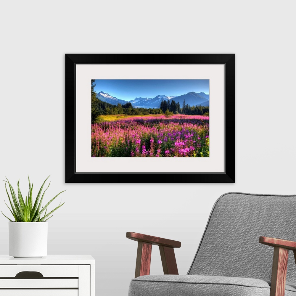 A modern room featuring Oversized wall art of a meadow of wildflowers in a valley of evergreen trees with an Alaskan glac...
