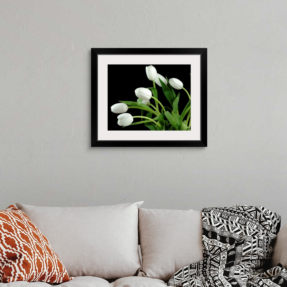 A bohemian room featuring Photograph of flowers and their leaves against a dark staged background.