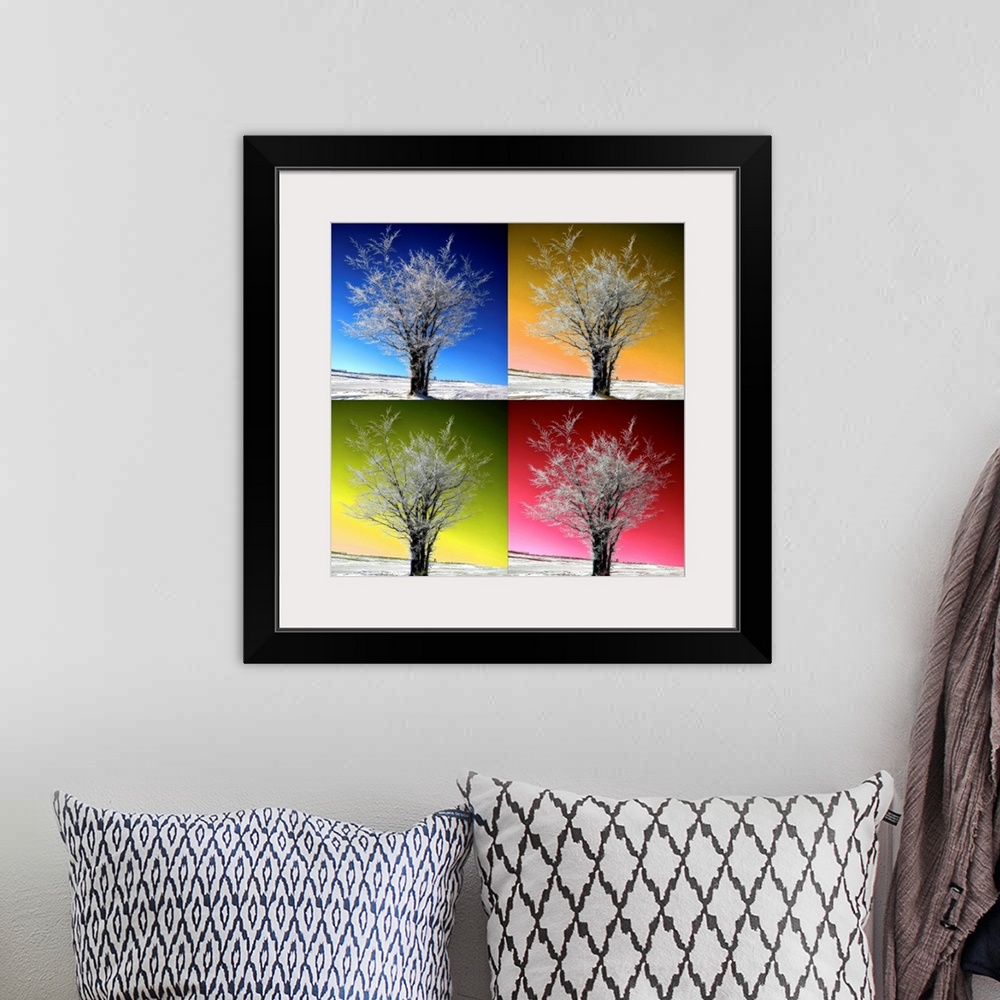 A bohemian room featuring This square photograph has been edited to have a pop art quality of a tree with a different color...