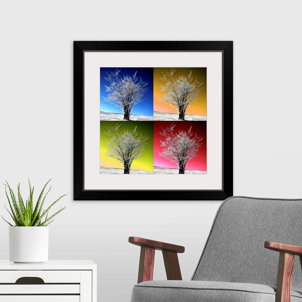 A modern room featuring This square photograph has been edited to have a pop art quality of a tree with a different color...
