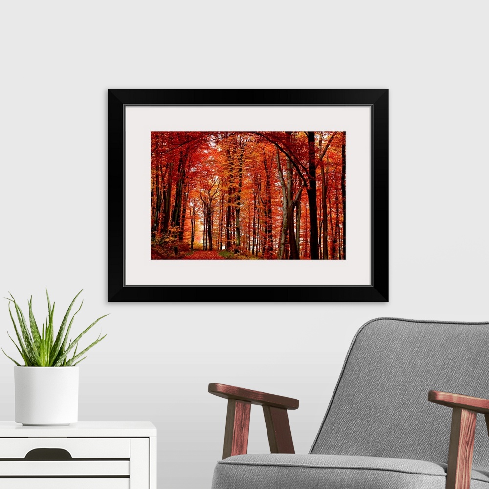 A modern room featuring Big canvas art of leaf covered path through a fiery colored forest at autumn.