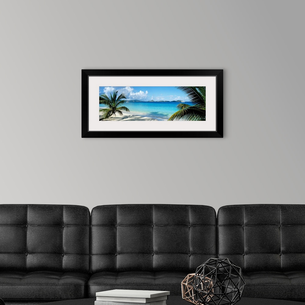 A modern room featuring Wide panoramic photograph of windswept trees on a tropical beach with sail boats in the harbor.