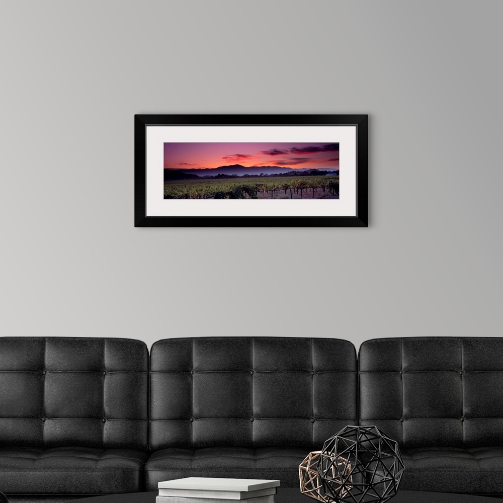A modern room featuring Panoramic photograph of a vineyard with mountains and a sunset in the background.
