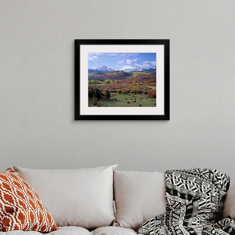 A bohemian room featuring Amazing landscape photograph of farmland, forest, and snowcapped mountains in the Rockies.