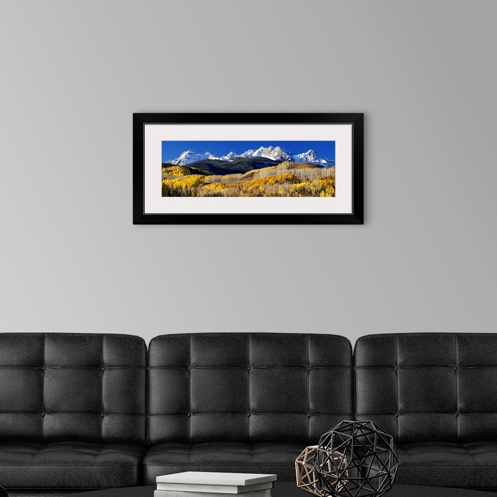 A modern room featuring A panoramic photograph taken of the Rocky Mountains in Colorado.  The bright trees in the foregro...