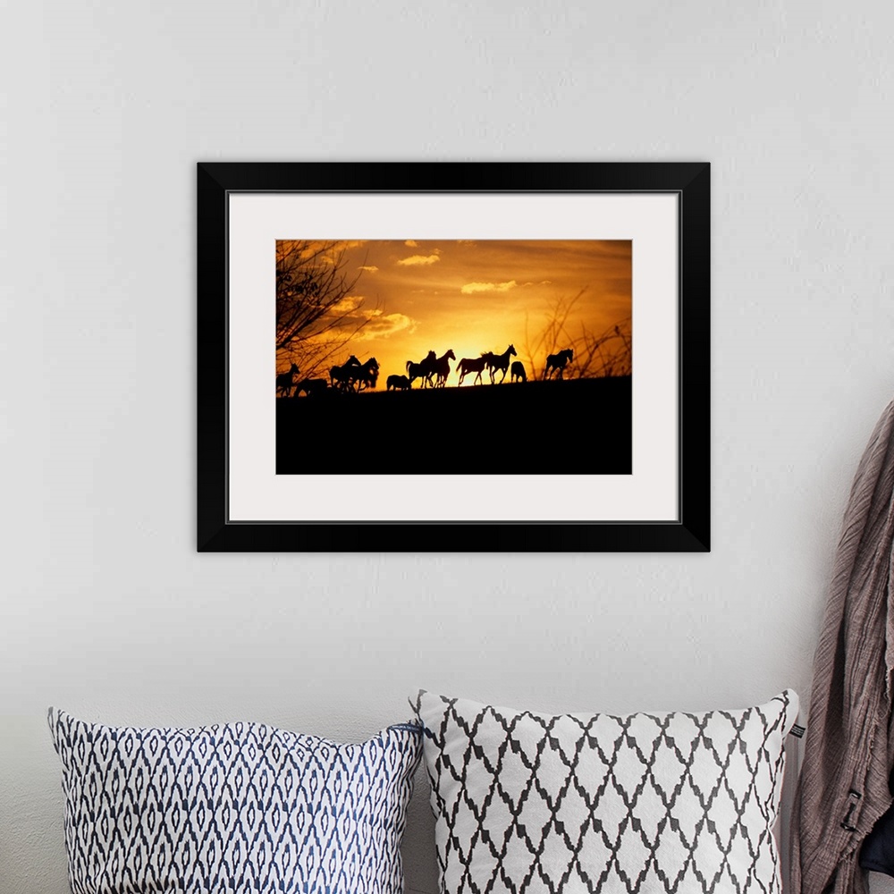 A bohemian room featuring Large wall art of the silhouettes of horses running contrasted against a warm sunset.