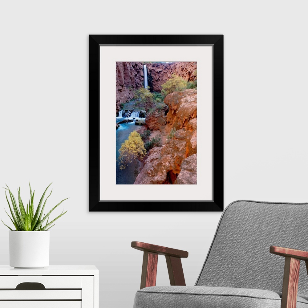 A modern room featuring This vertical, landscape photograph shows the waterfall, stream bed, and the plants growing aroun...