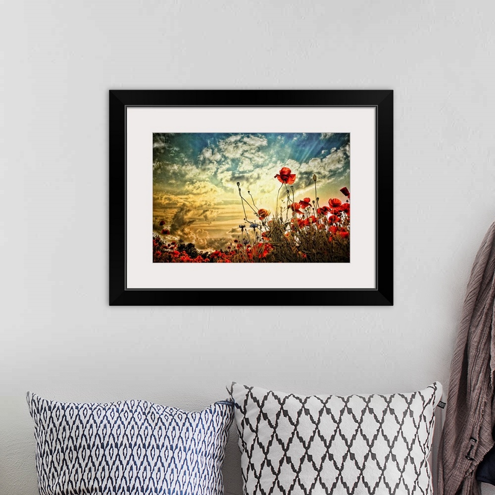A bohemian room featuring Photograph of a poppy field under a cloudy sky.