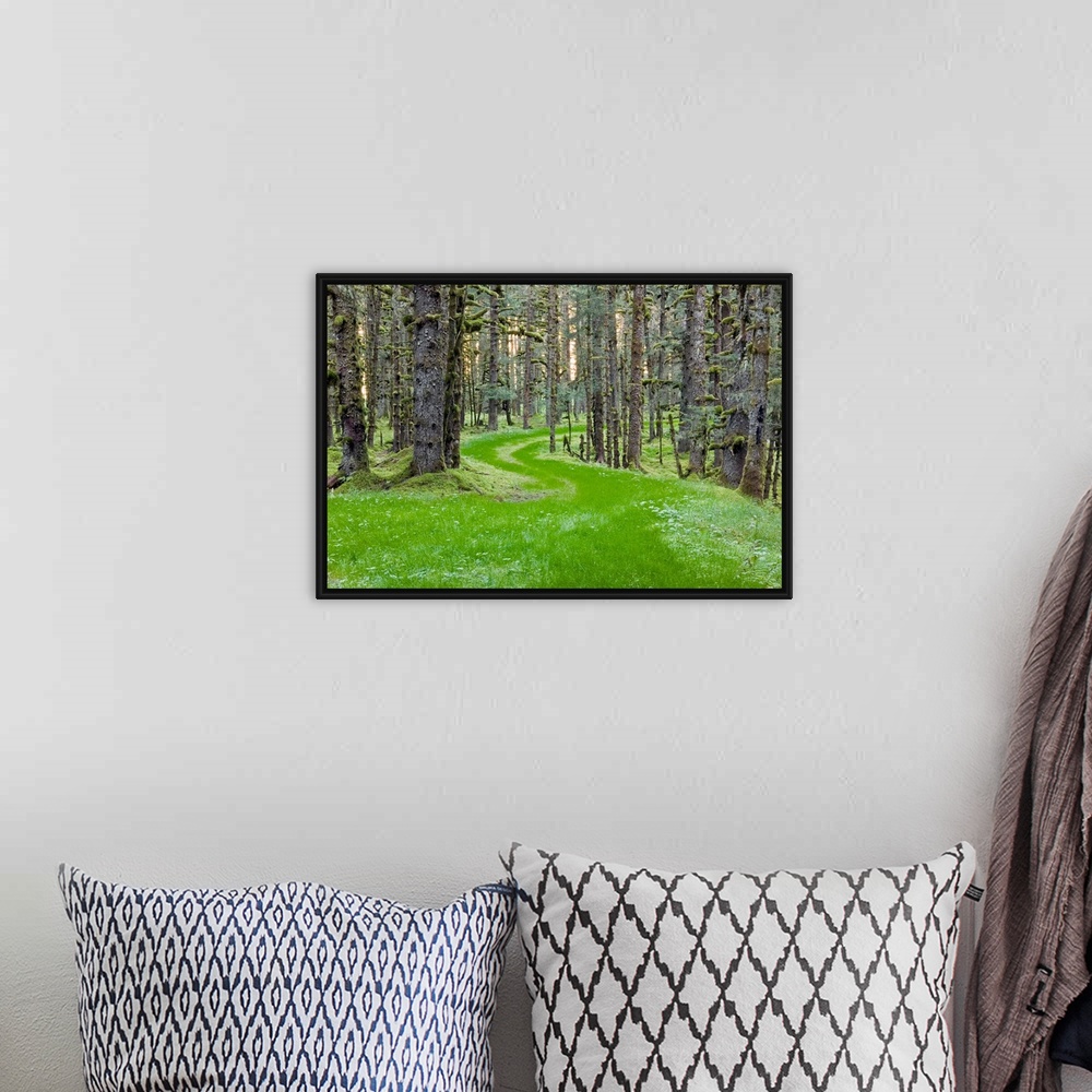 A bohemian room featuring Landscape photograph of an overgrown winding road through spruce trees and moss, coastal forest i...