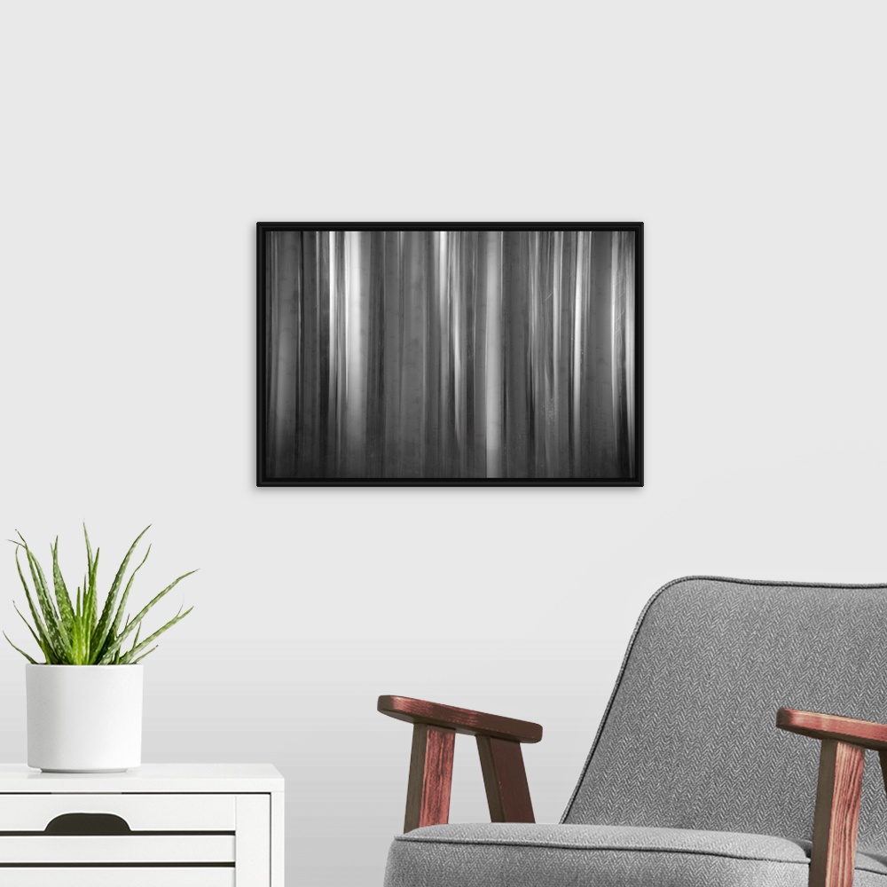 A modern room featuring Blurred abstract photograph of tall bare tree barks.