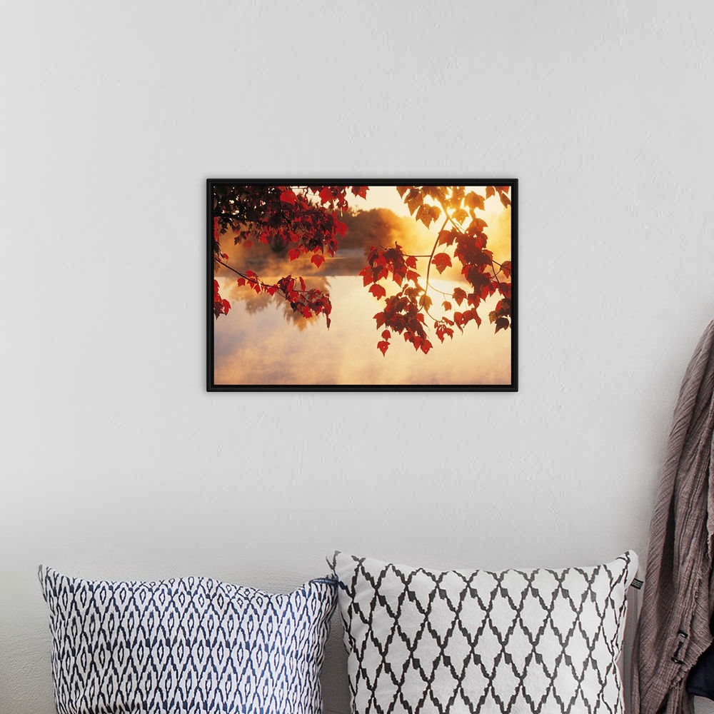 A bohemian room featuring Landscape wall art of autumn leaves hanging off a tree while mist rises off a pond in the morning...