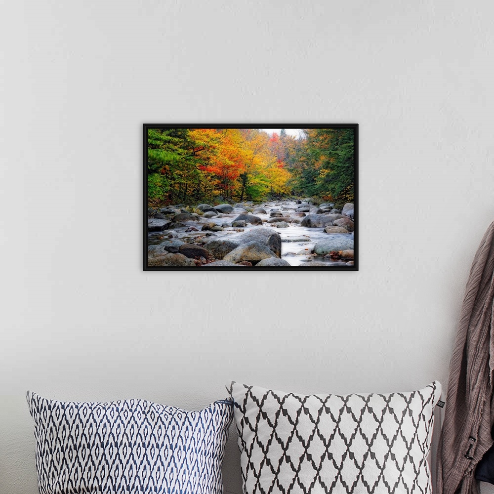 A bohemian room featuring Giant photograph of a quiet river with lots of rocks running through a large colorful forest in A...
