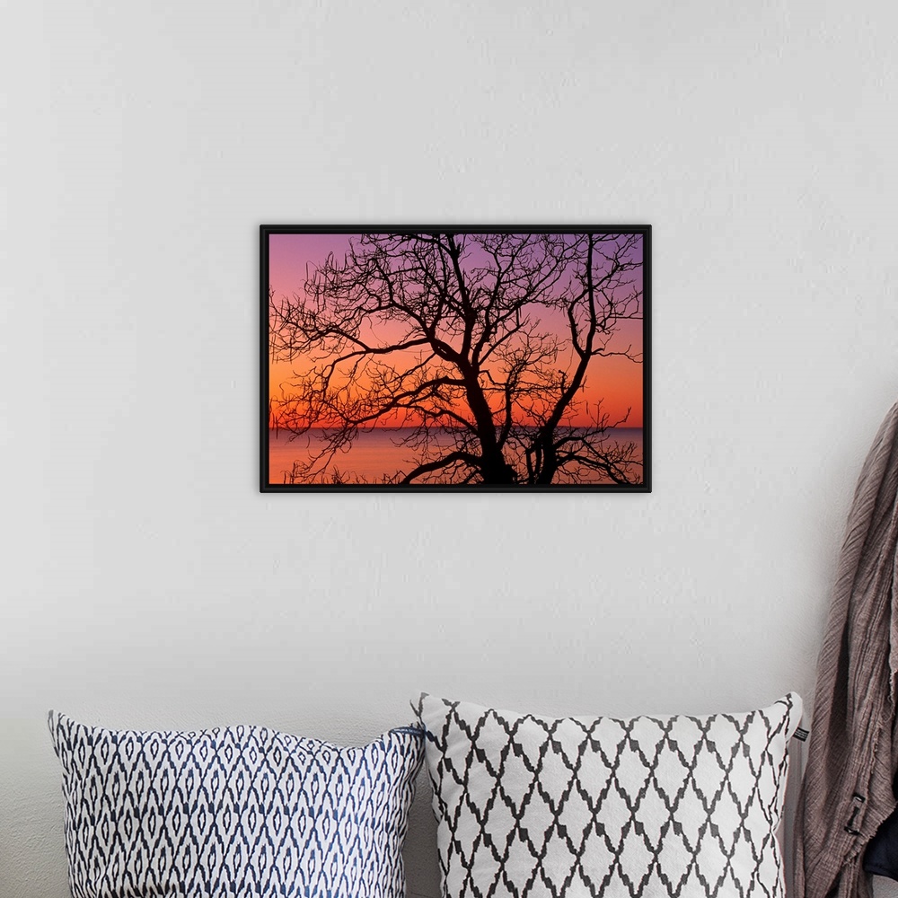 A bohemian room featuring Giant photograph shows a silhouetted bare tree in the foreground against an ocean enjoying the co...