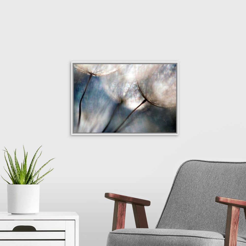 A modern room featuring Large abstract photo shows a close-up of flowers that includes a lot of bright colors and added t...