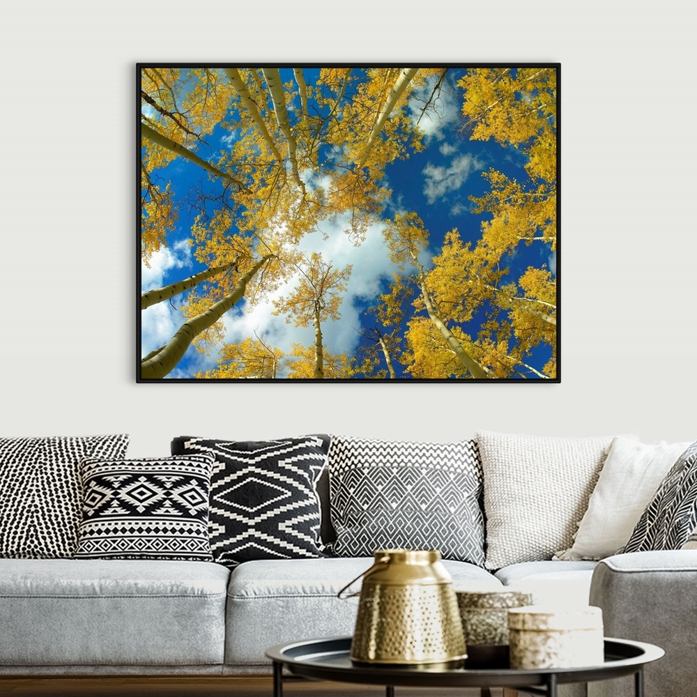A bohemian room featuring Big photograph looking up at a forest of Aspen trees with the sunny Colorado sky in the background.