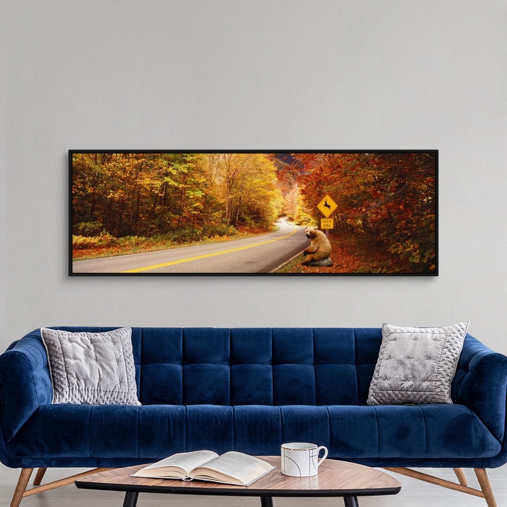 A modern room featuring Panoramic photograph of road winding through fall forest with a posted deer crossing sign.
