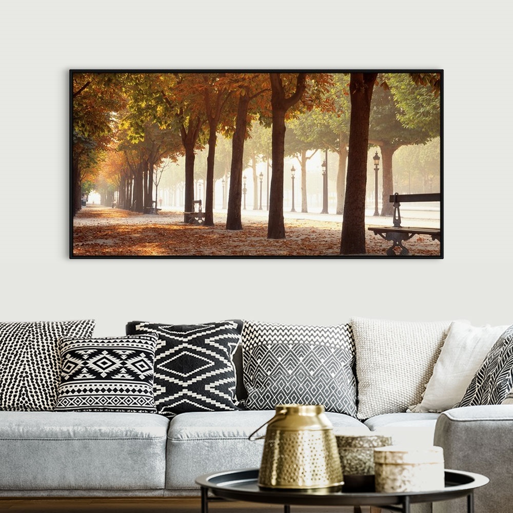 A bohemian room featuring Wide angle view of a tree lined avenue through a park at autumn in Paris. Benches sit between the...