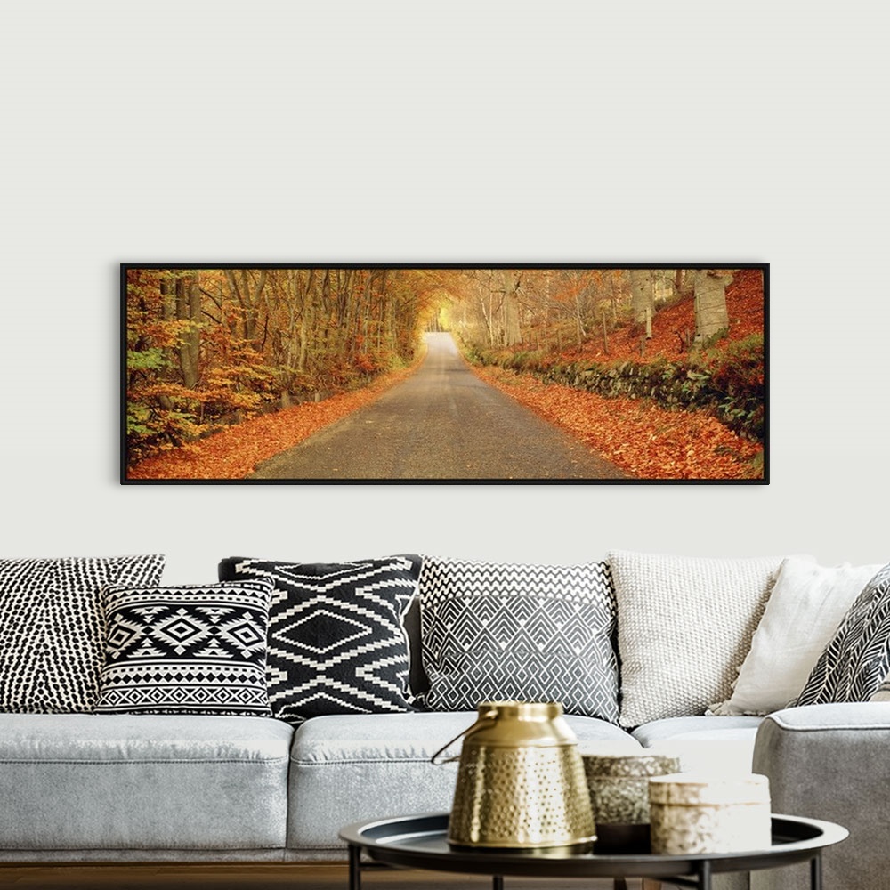 A bohemian room featuring Panoramic photograph taken of a desolate street encapsulated by a woodland full of bare trees and...