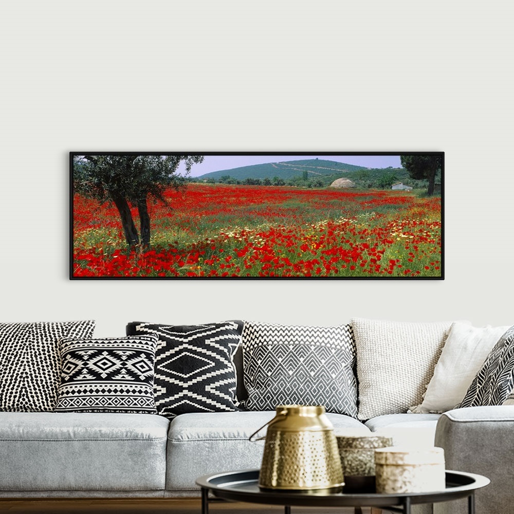 A bohemian room featuring A field amongst hills in an arid climate wildflowers bloom in the grass on this panoramic wall ar...