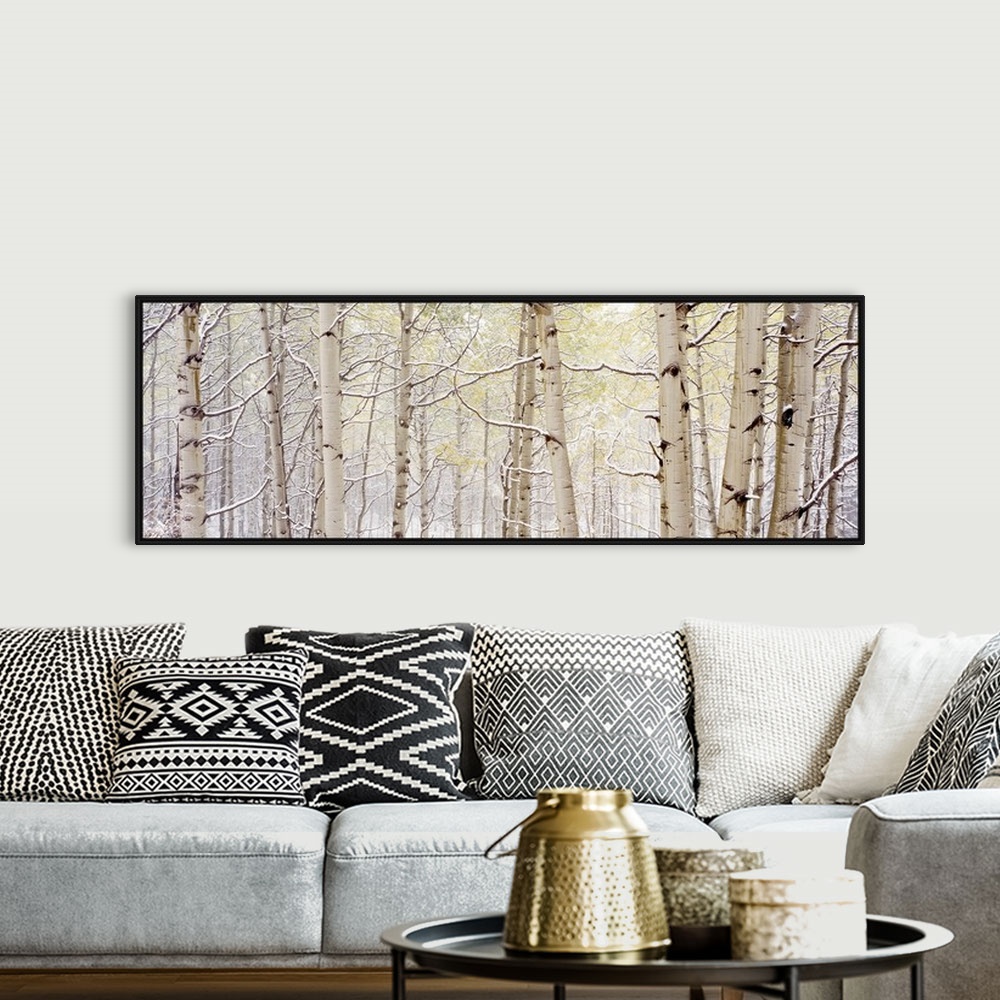 A bohemian room featuring A wide landscape photograph of snow in a forest of aspen trees. The neutral color palette of the ...