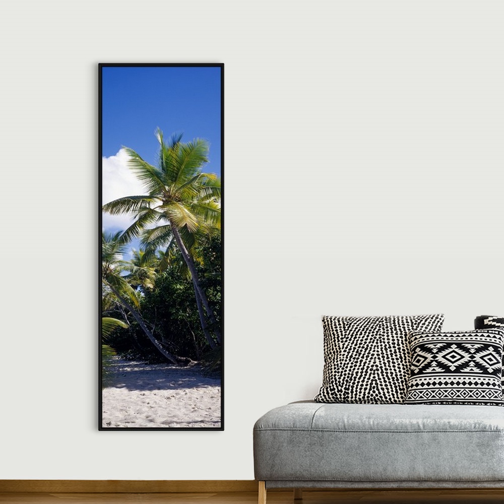A bohemian room featuring A tall vertical piece of palm trees stretching over white sand with a clear blue sky above.