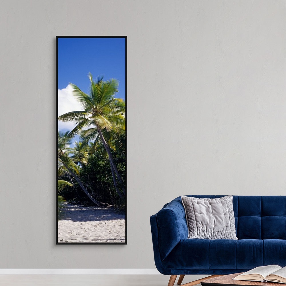 A modern room featuring A tall vertical piece of palm trees stretching over white sand with a clear blue sky above.